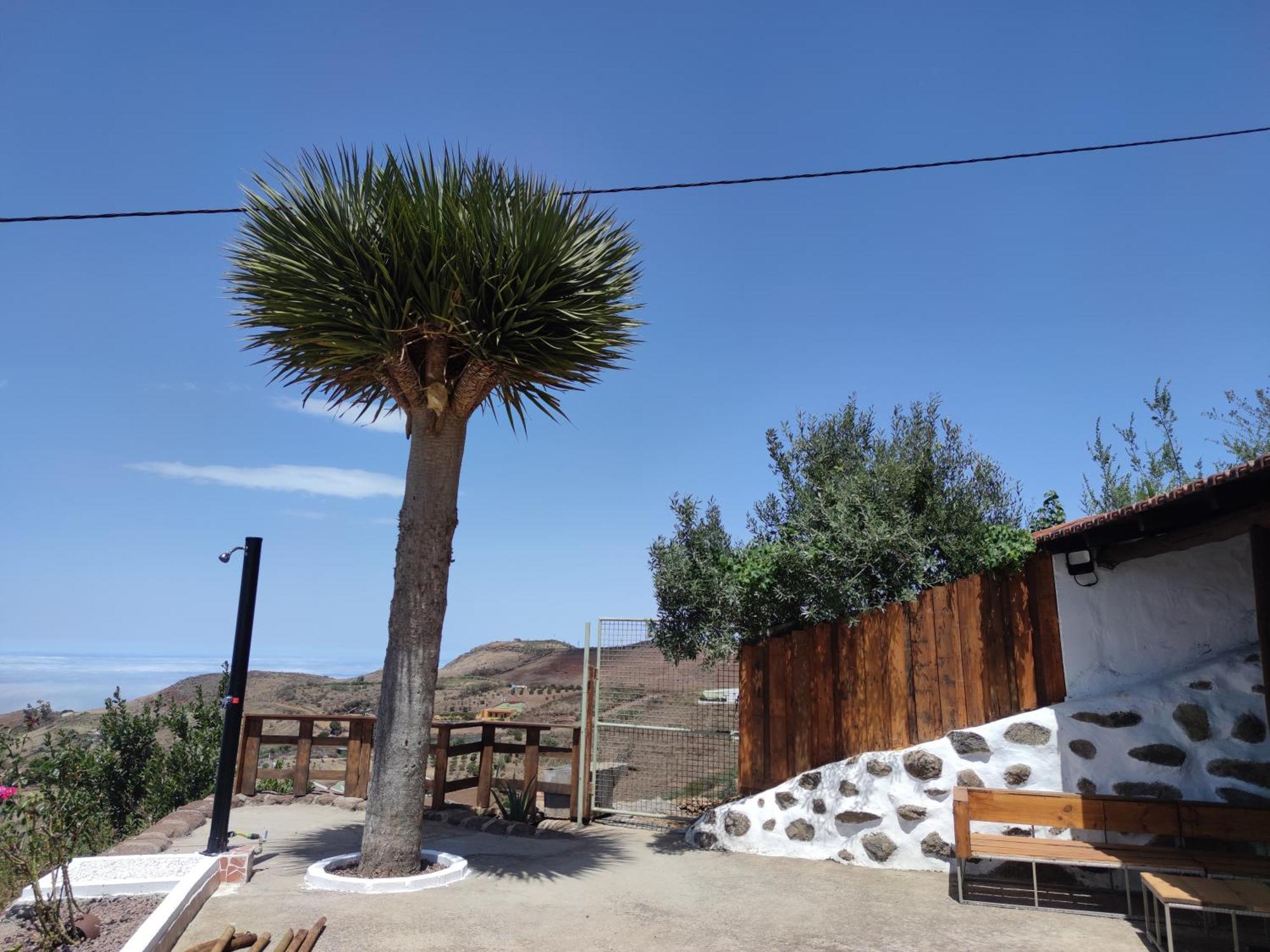 Finca Cho Rafael Gáldar Exteriér fotografie